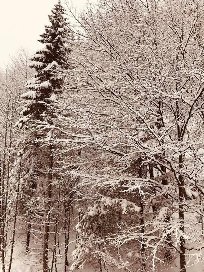 Apartmán 16 Romantika Chopok Juh Tále Bagian luar foto